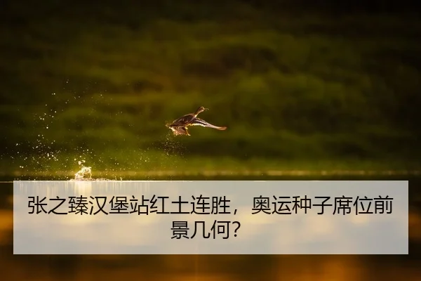 张之臻汉堡站红土连胜，奥运种子席位前景几何？