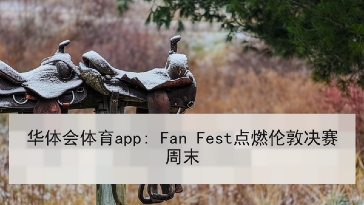 华体会体育app: Fan Fest点燃伦敦决赛周末