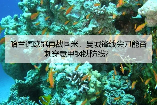 哈兰德欧冠再战国米，曼城锋线尖刀能否刺穿意甲钢铁防线？