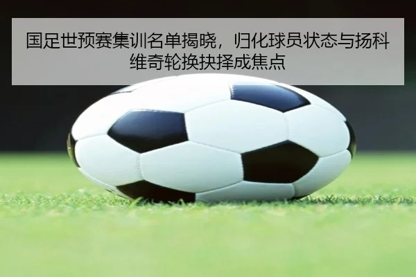 国足世预赛集训名单揭晓，归化球员状态与扬科维奇轮换抉择成焦点