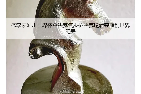 盛李豪射击世界杯总决赛气步枪决赛逆转夺冠创世界纪录